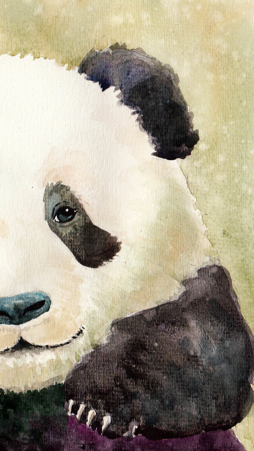 11 Cute Panda  Wallpapers  for iPhone With 1920x1080 