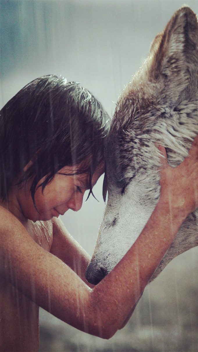 free The Jungle Book for iphone instal