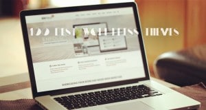 Top 100 WordPress Magazine, News and Blog Themes 100 best wordpress themes